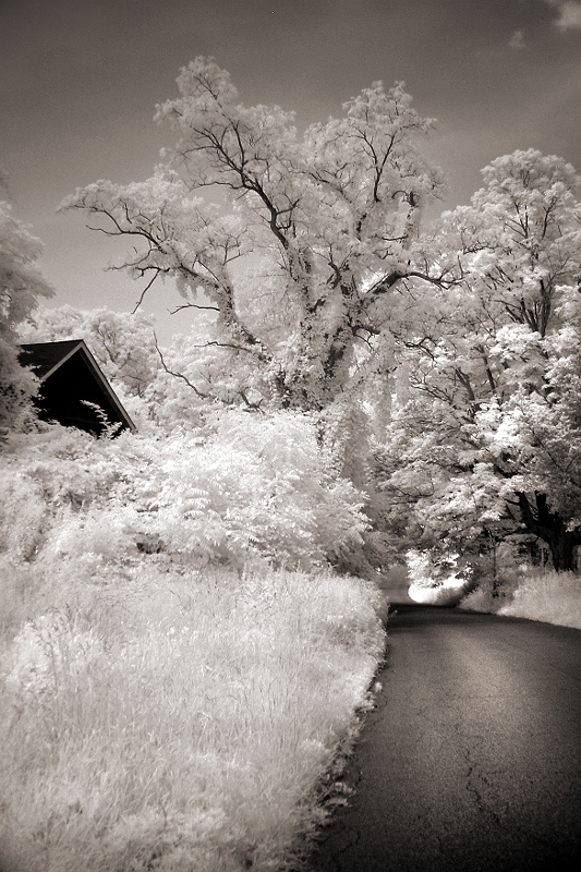 By the Greenhouse Roadside Greenry, Wingdale, NY � Dave Hickey